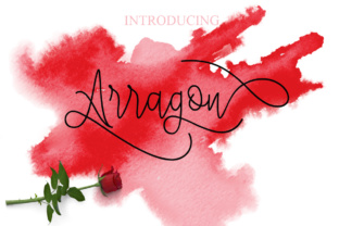 Arragon: A Script Font for Modern Campaigns