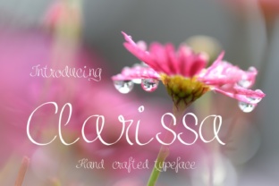 Clarissa: The Script Font That Gave My Bakery a Brand Upgrade