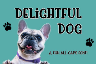 Delightful Dog Font: A Display Typeface That Made Our Campaign Click