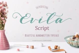 Evita Font Review: A Playful Script for Web Design and Brands