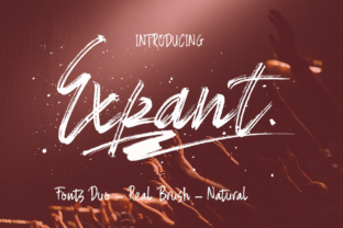 Expant: A Hand Painted Brush Font