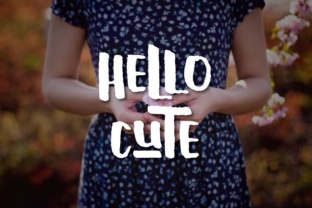 Hello Cute: A Designer’s Honest Review for Real Projects