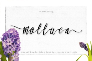 Molluca Font: The Handwritten Script That Makes Campaigns Click