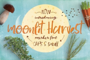 Moonlit Harvest: A Handcrafted Font That Brings Warmth to Branding Projects
