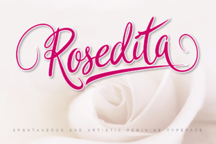 Rosedita: A Script Font for Real Branding Work