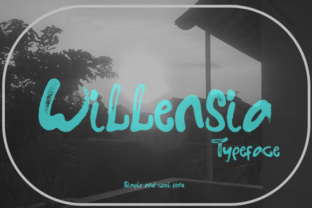 Willensia Font for Web Design